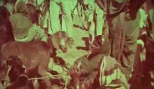 Introduction to CSRD Media Center